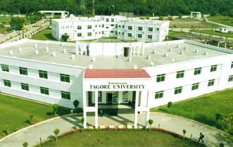 best career developer